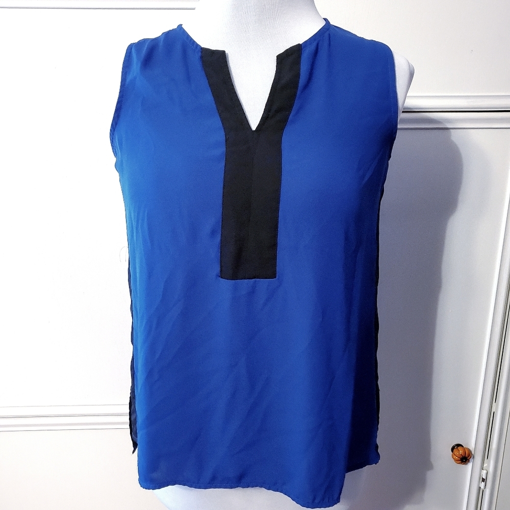 Investments Blue & Black Colorblock Sleeveless Top